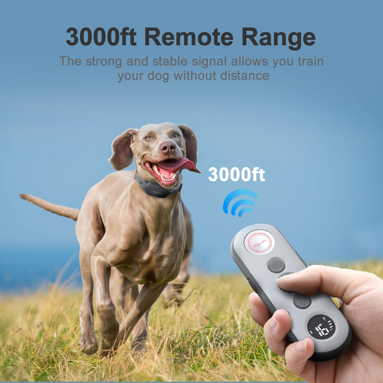 Buy Dog Shock Collar with Remote IPX7 Waterproof Dog Training Collar