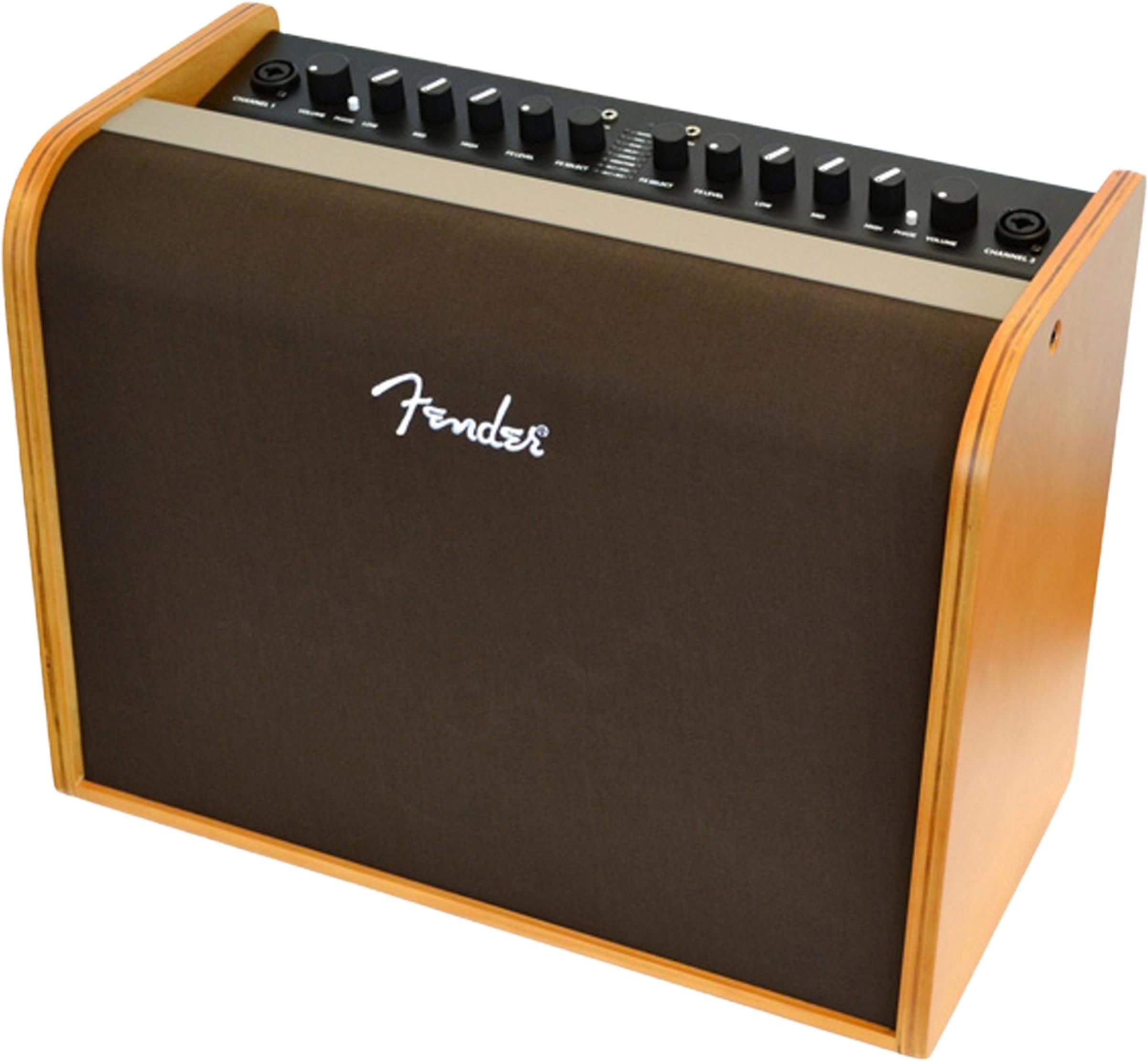 Fender Acoustic 100 Amplifier for Acoustic-electric Guitar and Microphone