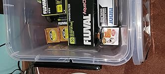 Review Image by Lisa Lisa