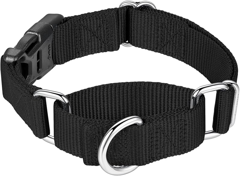 Coleira Martingale para Cães Mikivery em Nylon com Fivela de Engate Rápido Ajustável, Grande (Large), Black