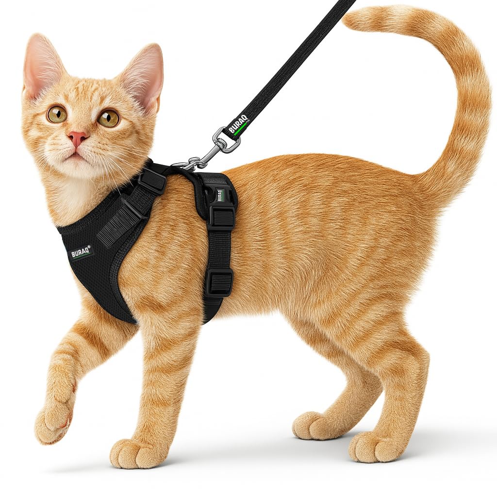 No Pull Cat Harness with Leash Escape Proof, Aesthetic Design, Ultra-Light Weight, Air Mesh Fabric, Adjustable Cat Leash with Harness (XS - Black)