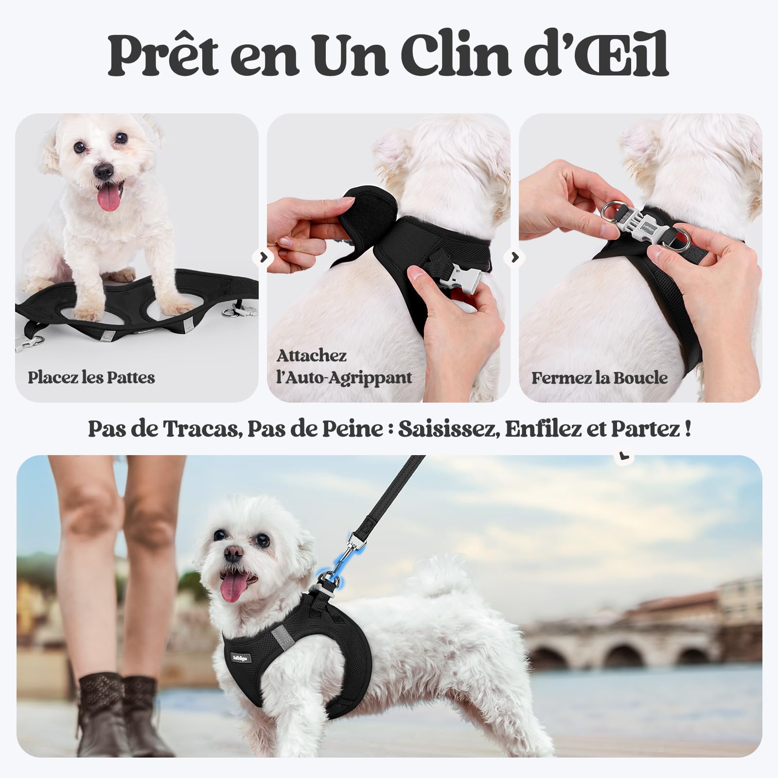 rabbitgoo Harnais Chien Petite Taille avec Laisse Réfléchissant, Harnais Chiot en Maille Souple, Gilet Réglable Facile à Mettre, Arnet pour Chien Petit et Moyen pour Marcher Courir, Noir S