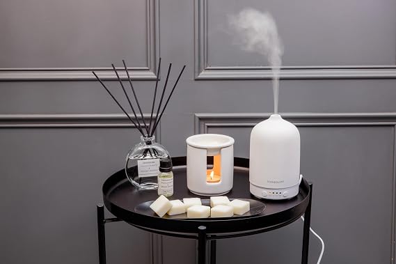 Stoneglow Modern Classics Pomegranate & Spiced Woods Scented Reed Diffuser 120ml with Pink Pepper, Patchouli & Amber, 12 Rattan Reed Diffuser Sticks, Lasts 10 Weeks, Refillable Home Fragrance