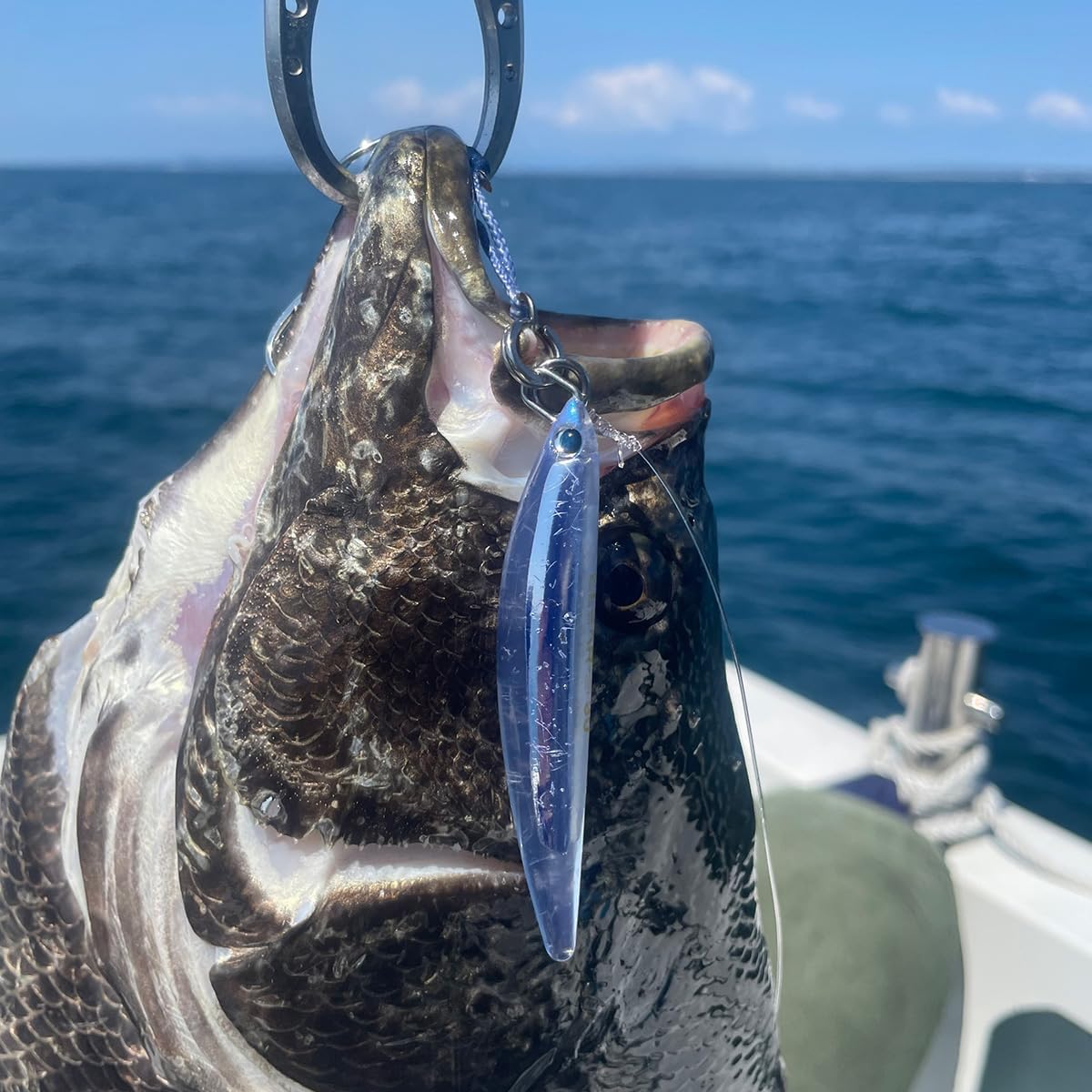 Jackson Clear S Offshore 3.3 inches (85 mm) MZC Water Clear