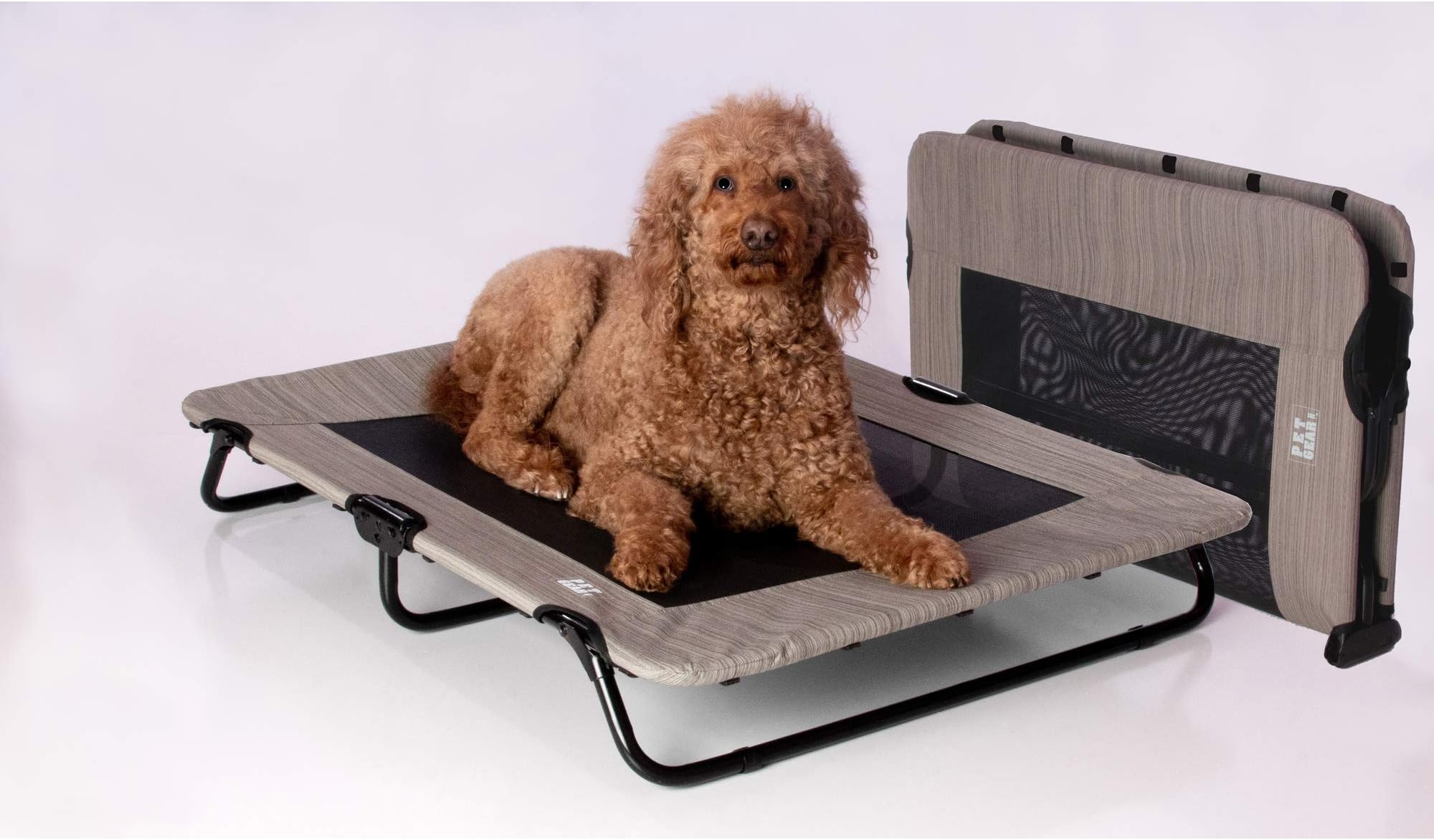 Pet Gear Lifestyle Pet Cot Elevated Bed | No Assembly Required | Premium Tear Resistant Cooling Mesh | Indoor & Outdoor | Lightweight & Portable