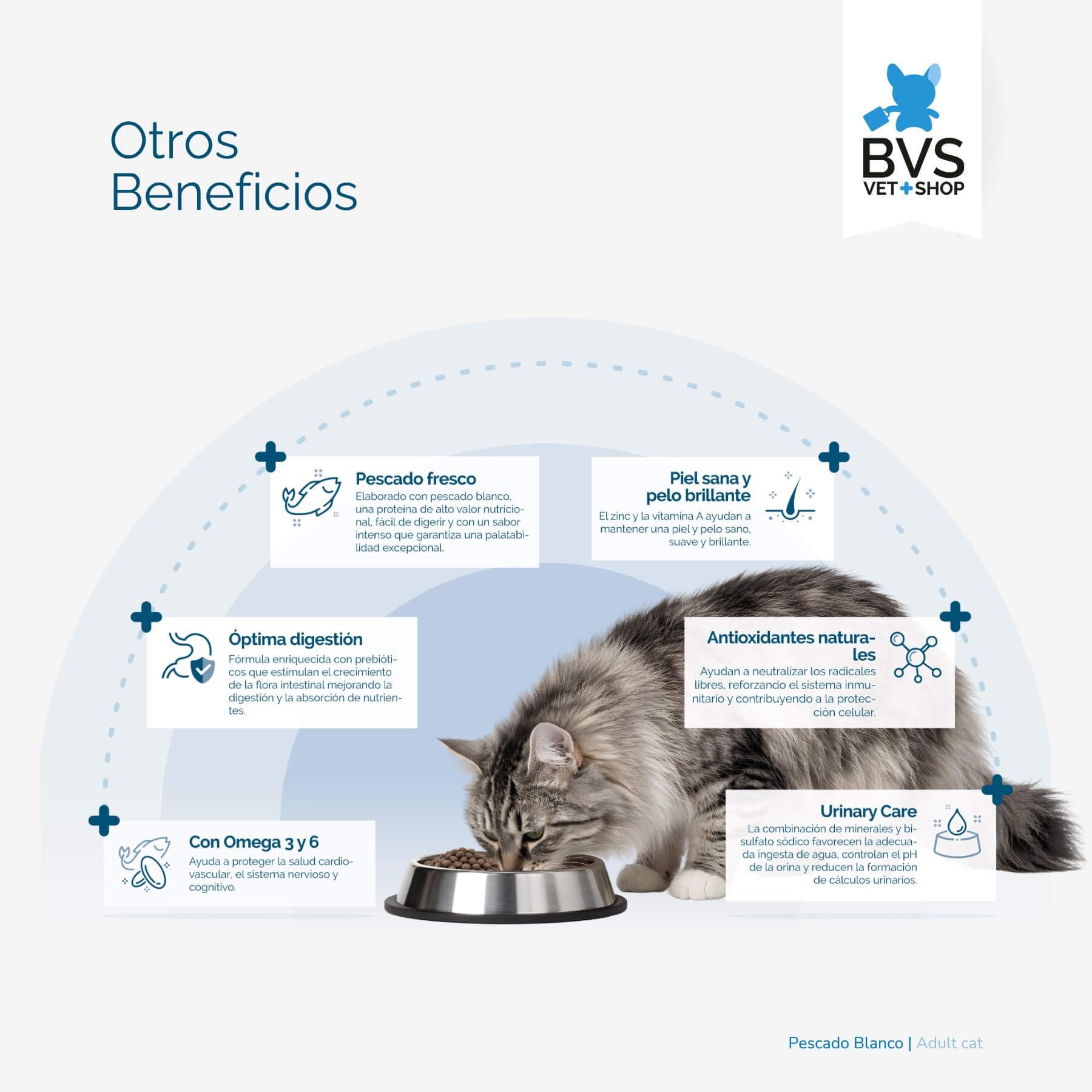 BVS Vet Shop | Adult Cat Pescado Blanco para Gatos | Protege al Sistema inmunológico y Ayuda a desarrollar la Salud Cardiovascular y el Sistema nervioso | 12Kg