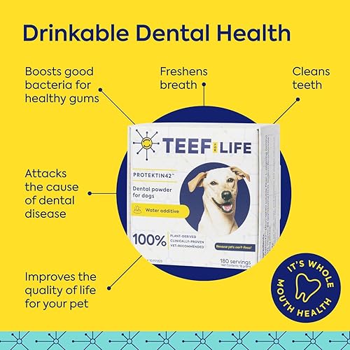 Miniatura 3 de TEEF for Life Protektin42 aditivo de agua dental derivado de plantas para perros, cuidado dental diario, fórmula clínicamente probada que combate