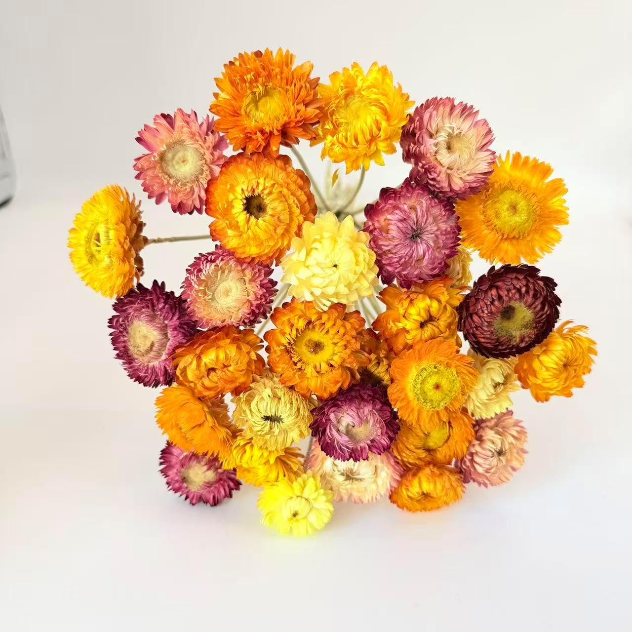 30 Pcs Natural Dried Daisy Flowers Bouquet - Dried Daisies Sunflowers Chrysanthemum Flower Bouquet, Dry Flower Arrangements for Wedding,Table Vase Decor, Home Party Decoration (30pcs Multi Color)