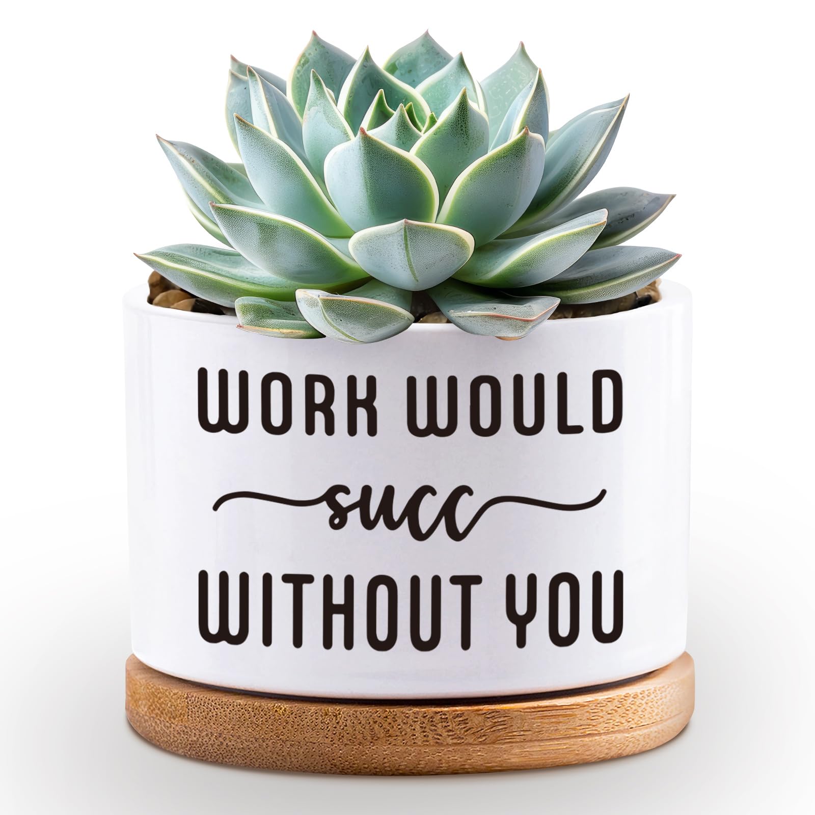 Succulent Plant Pots 3.5 inch Ceramic Succulents Planter
