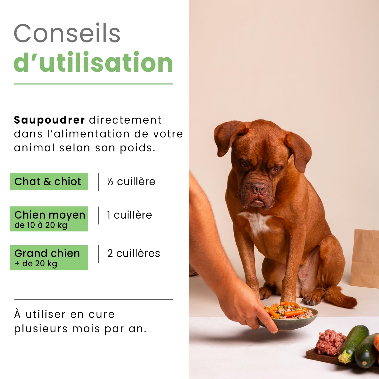 BUBIMEX - Poudre de Moules Vertes - Bien-Être Articulaire Chien & Chat - Formule 100% Naturelle - 400 g