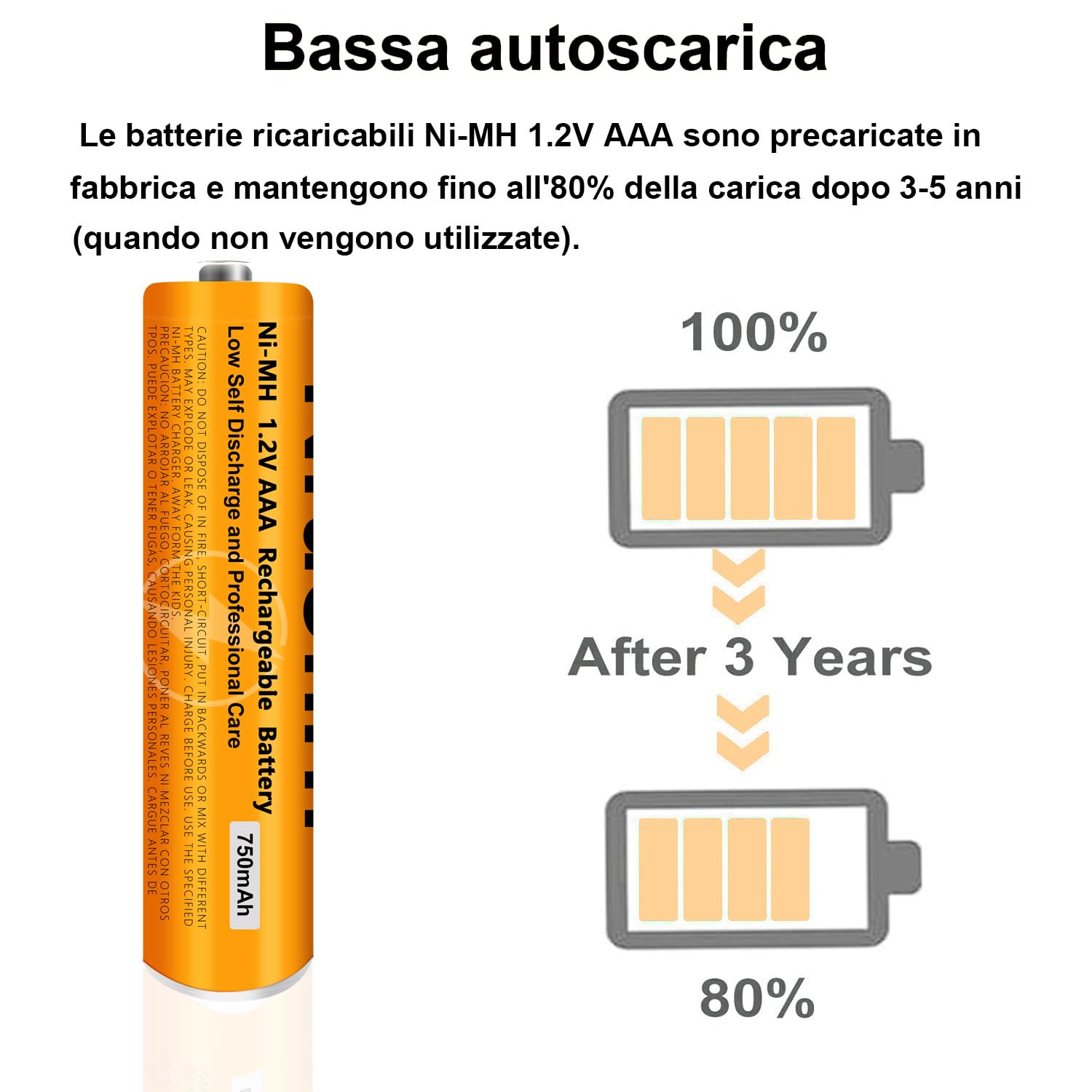 Batterie Ricaricabili AAA 750mah 1,2v per Ricevitore Gigaset, NI-MH Pile Ricaricabili AAA 750 mah per Panosonic Telefoni Cordless - confezione da 2