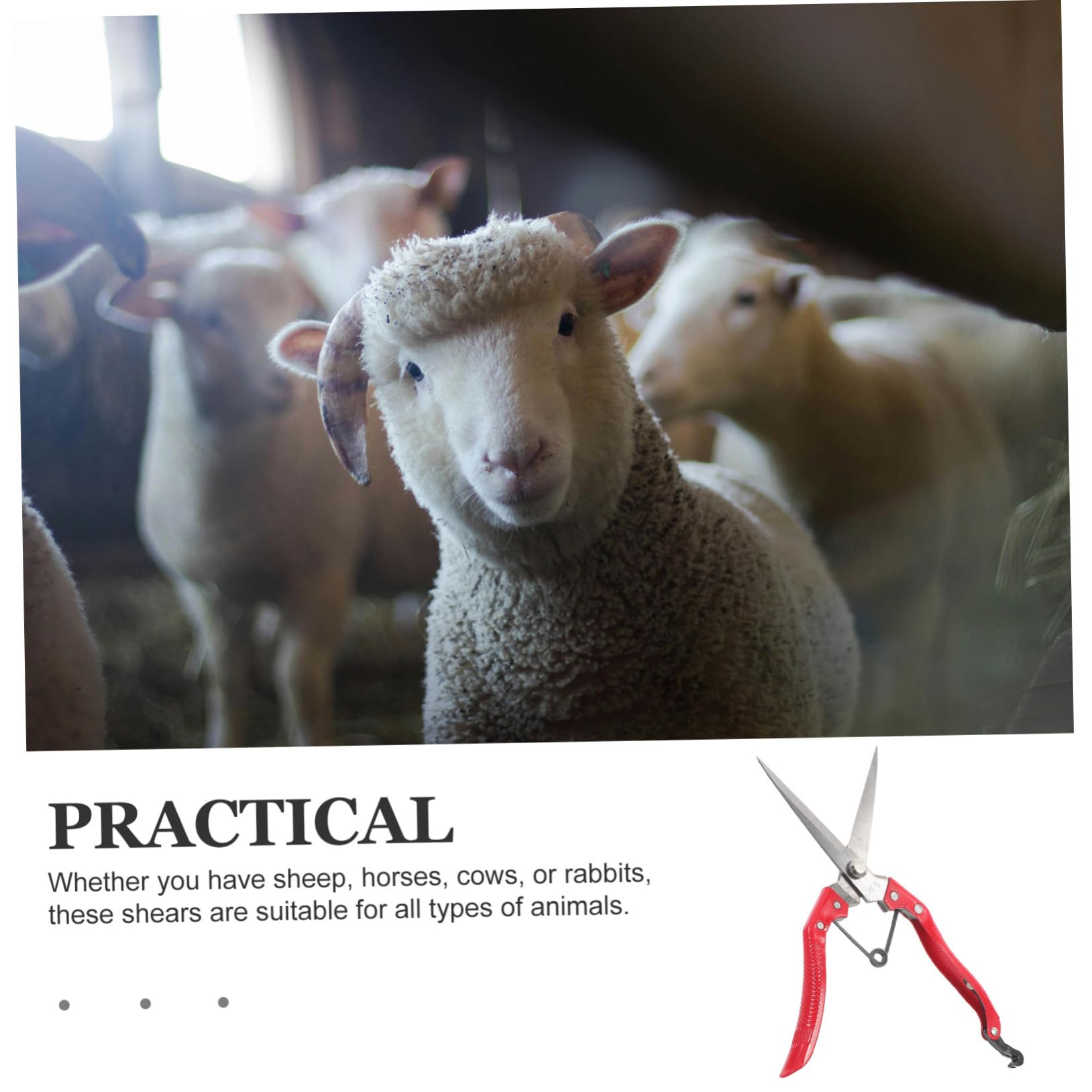 Désherbeur Manuel 34 Cm Pelle De Désherbage Acier Inoxydable Avec Poignée Bois Extracteur De