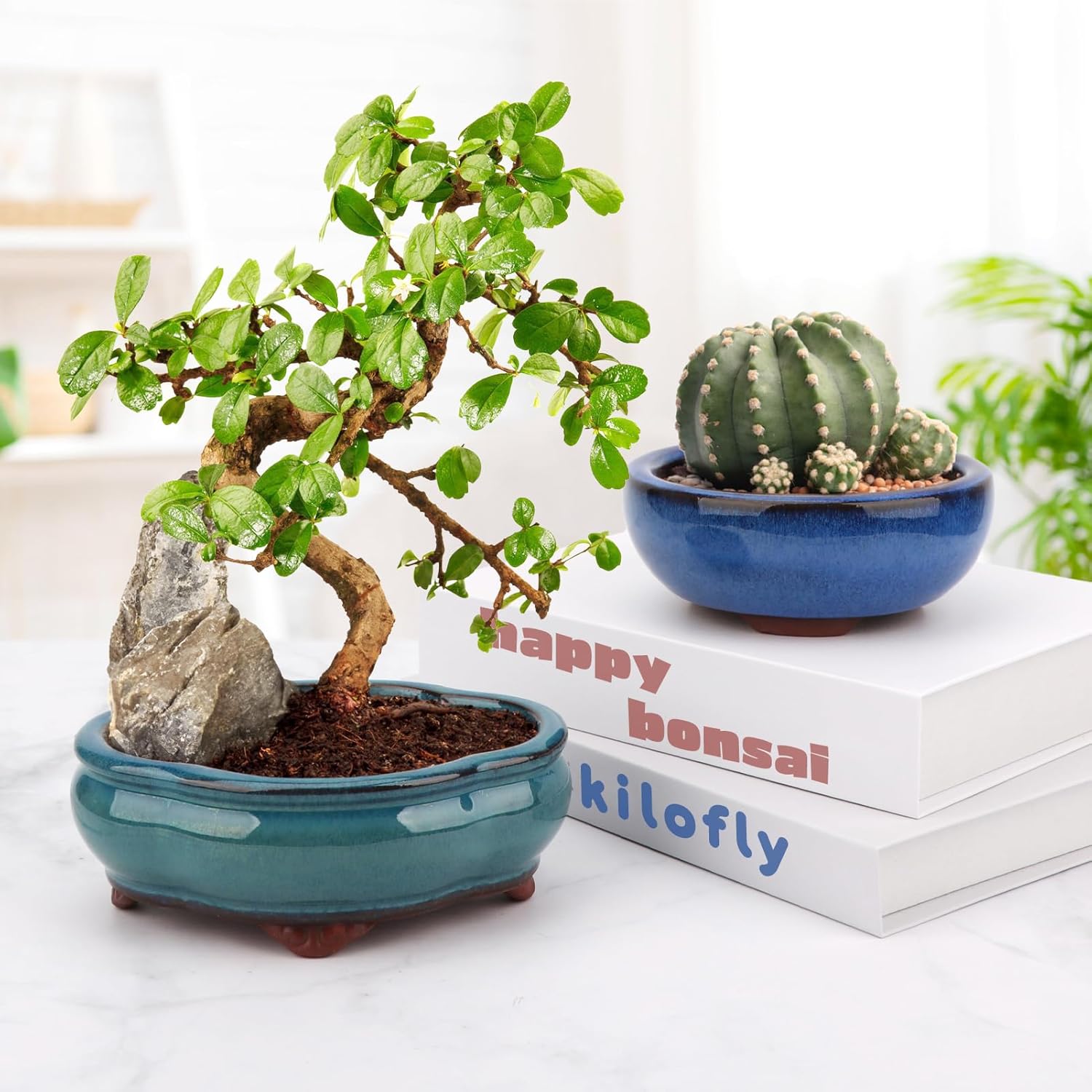 Bonsai Planter 4.9" 5.7" 2pc Small Succulent Glazed Pots + 6 Soft Mesh Drainage Screens