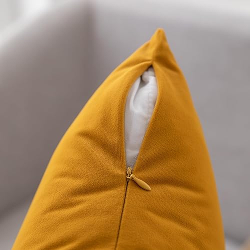 Miniatura 7 de Rythome Juego de 2 fundas de almohada de terciopelo para sofá y cama, 16 x 16 pulgadas, caléndula