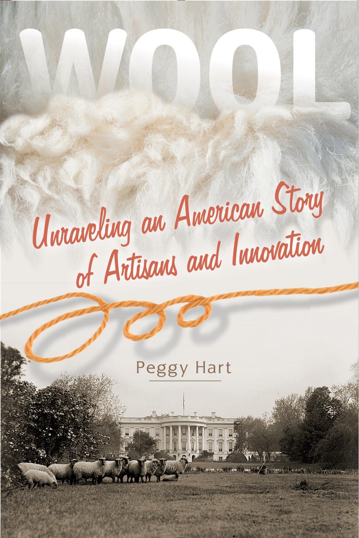 Wool: Unraveling an American Story of Artisans and Innovation Paperback โ Illustrated, November 28, 2017