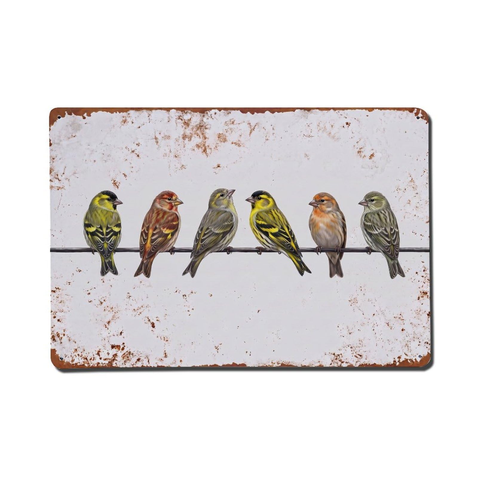 Vintage Retro Birds Siskin Metal Tin Sign