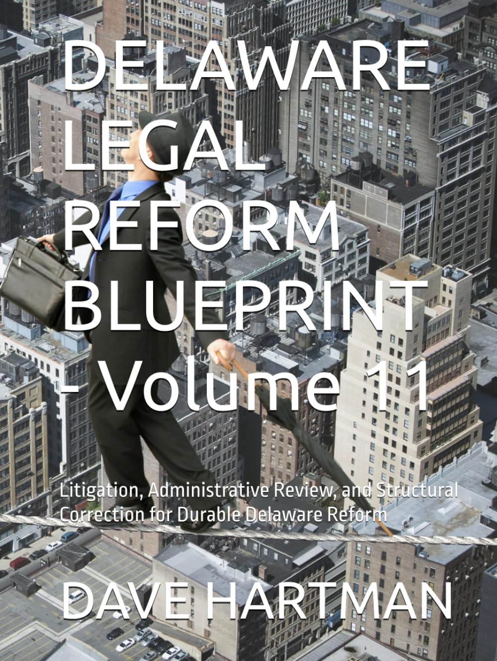 DELAWARE LEGAL REFORM BLUEPRINT - Volume 11: Litigation, Administrative Review, and Structural Correction for Durable Delaware Reform (Delaware Legal Reform Series)