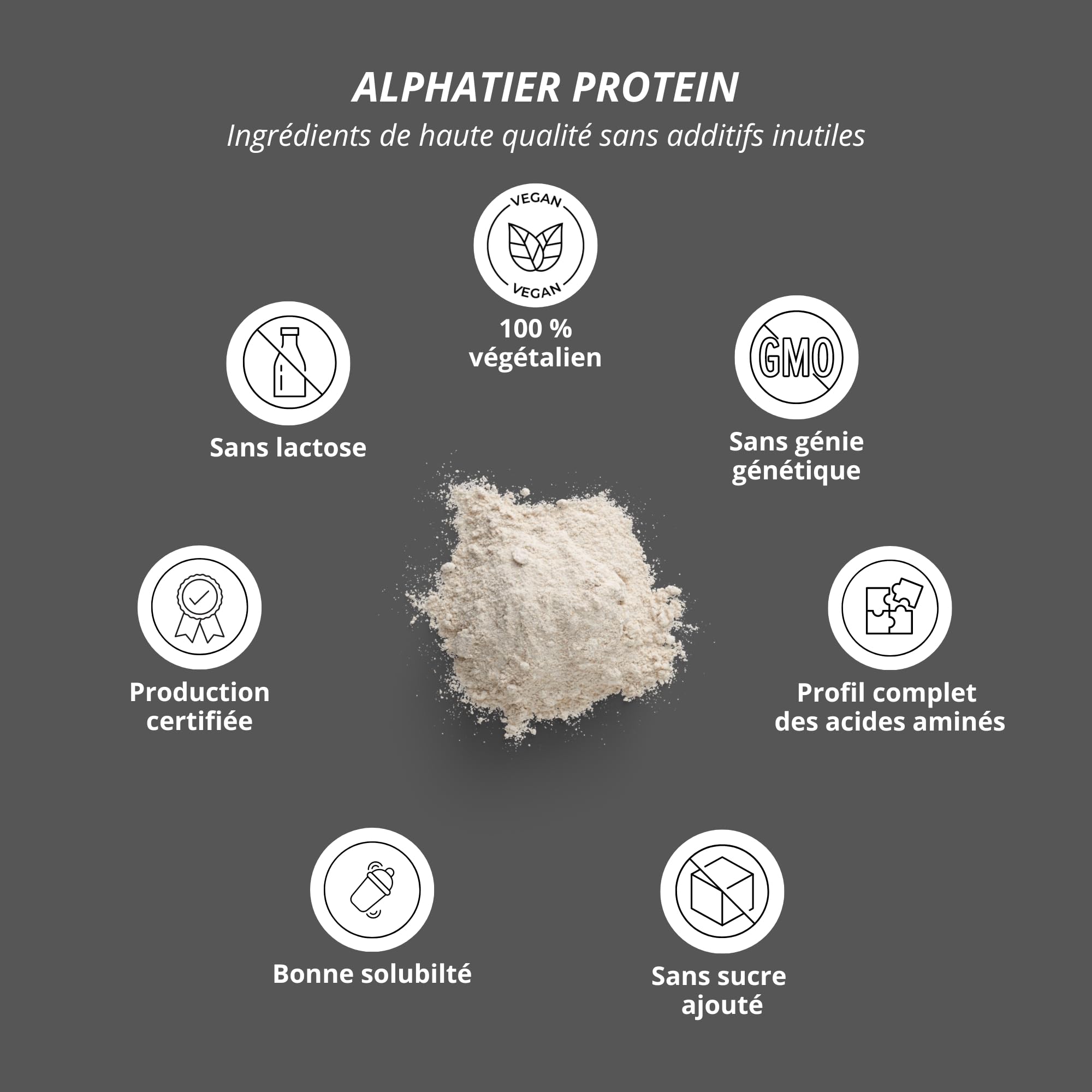 Alphatier Poudre de protéines végétaliennes - Vanille - Poudre de Protéine avec 80% de Protéines - Vanilla Protein Powder - Isolat de protéines de Soja - 1 kg