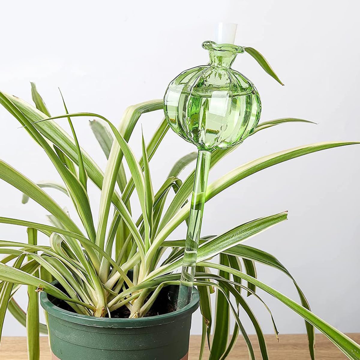 Veemoon Lot de 4 Globes D'arrosage Automatiques en Verre Forme Cactus Transparent, Système D'arrosage Lent pour Plantes en Pot, Jardinage Intérieur et Extérieur, Accessoire Pratique