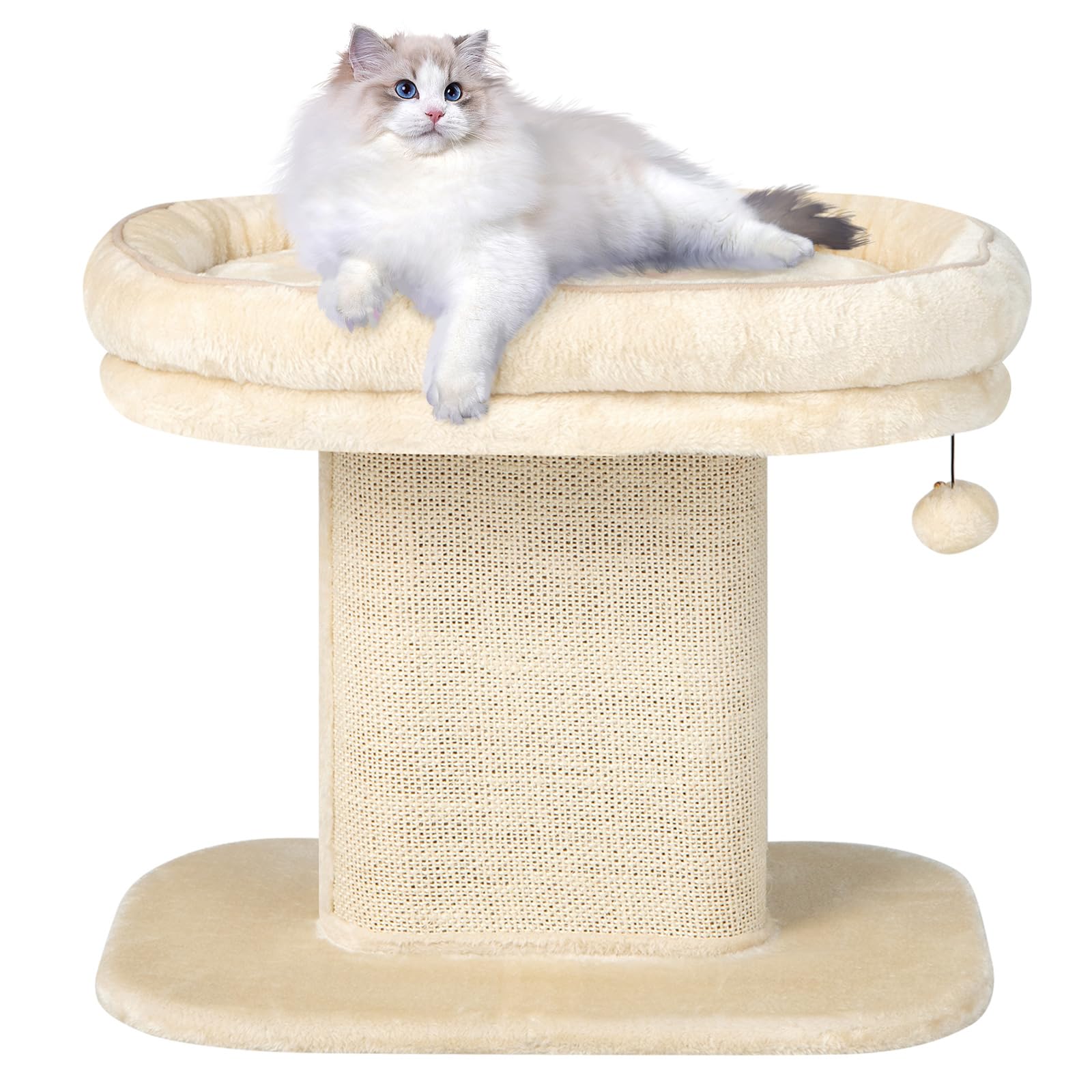 GYMAX Árbol Rascador de 50 cm de Alto para Gatos, Árbol de Escalada con Asiento de Felpa Suave, con Columna de Sisal y Pelota, Árbol de Actividad y Árbol de Juegos, para Pequeño Gato, Beige