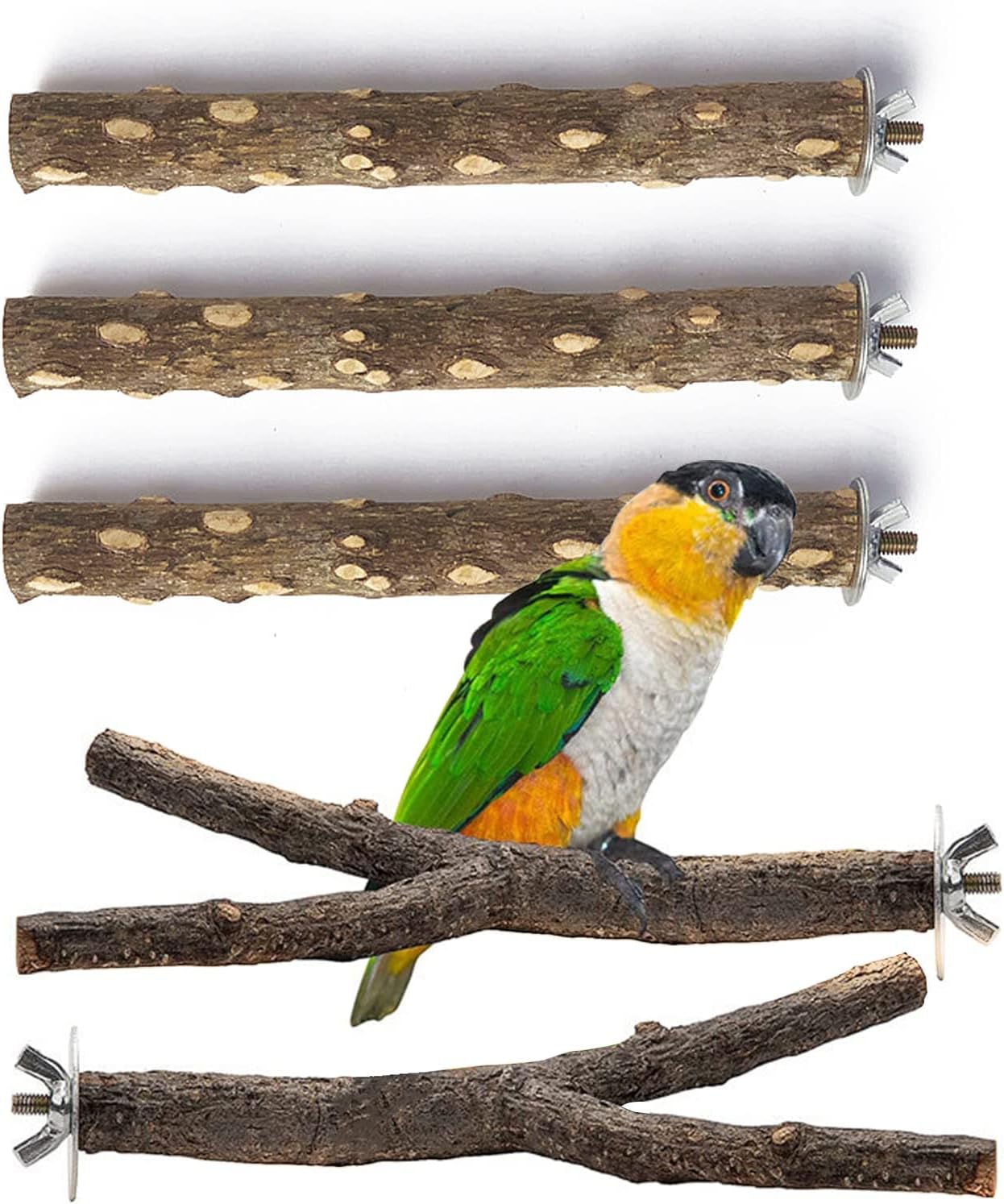 Pacify 5 PCS Bird Perches Natural Wood Parrot Stand Perch Stick