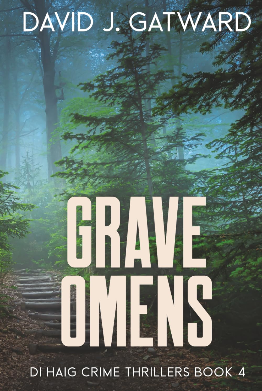 Grave Omens (DI Haig Crime Thrillers)