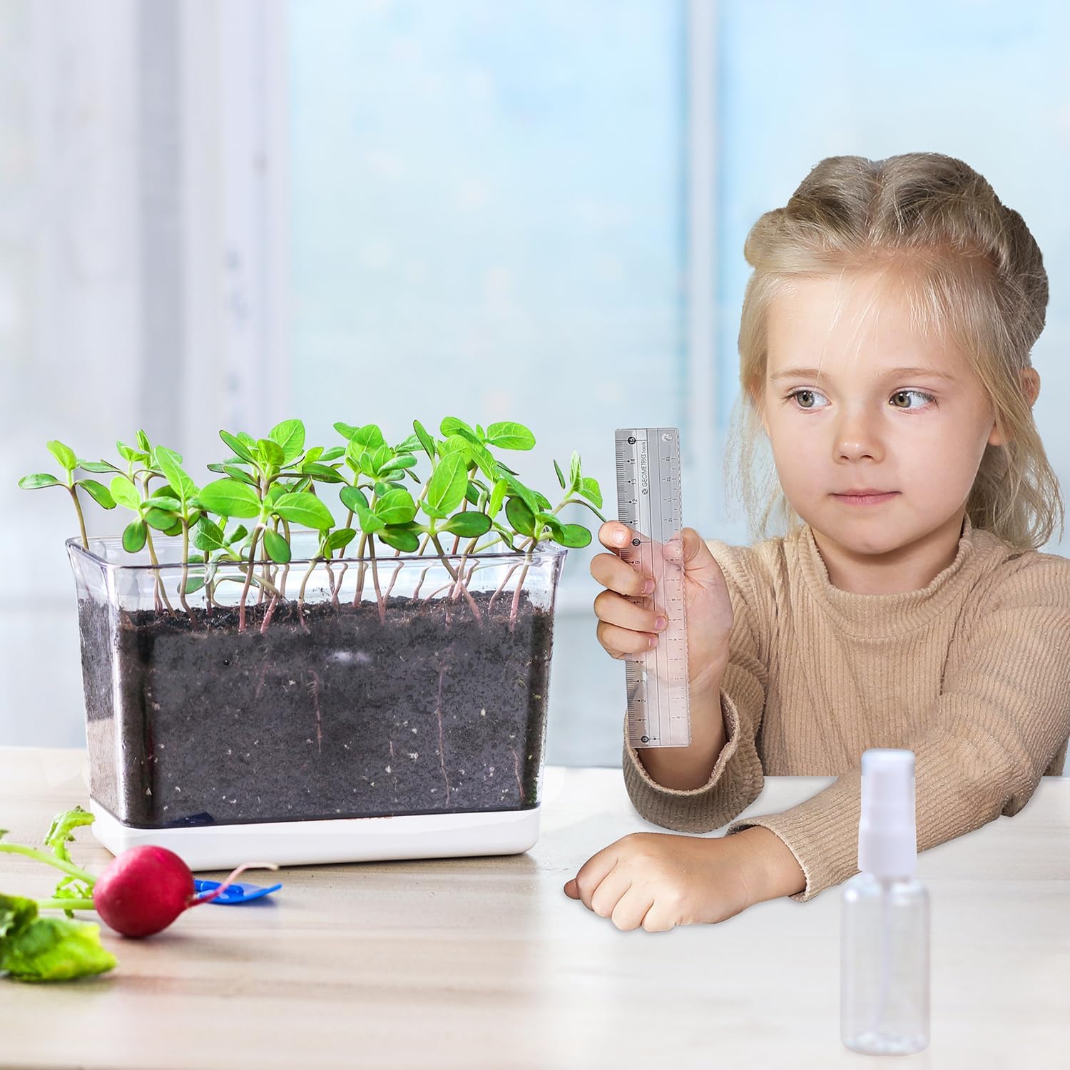 Self Watering Planters - 4 Pack Rectangular Clear Plant Pots with Drainage Holes for Indoor Plants - Image 2