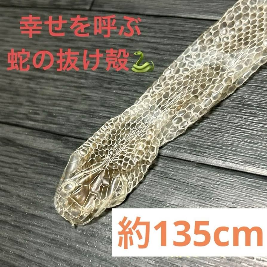 金運UP蛇の抜け殻