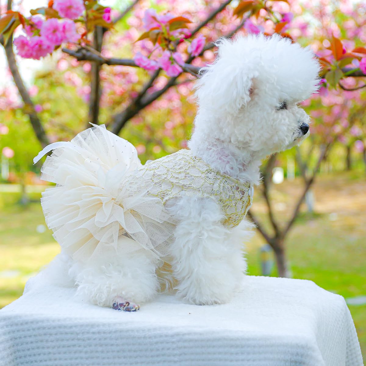 Amazon | 猫犬レース糸ドレス ペットウェディングスカート