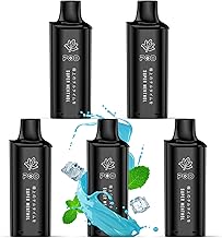 E-Cigarette Vape Shisha I4 Type Replacement POD 5 Pack Strong Menthol Disposable Pods Flavor Cartridge Liquid Filled Smoke Quit Nicotine No Tar No Leak Proof X-SPACE