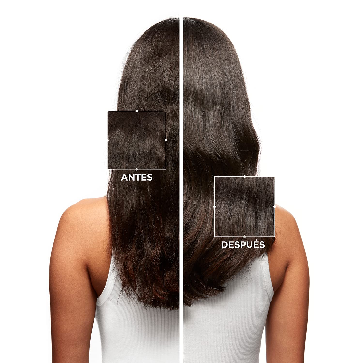 Kérastase Symbiose, Champú Anticaspa Purificante Y Calmante, Para Cuero Cabelludo Graso y Sensible Con Tendencia A La Caspa, Champú Sin Sulfatos*, Bain Pureté Anti-Pelliculaire, 250 ml (Paquete de 2)