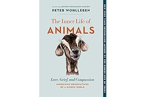 Mama's Last Hug: Unveiling the Emotional Lives of Animals