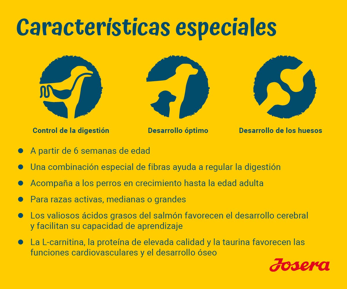 Josera - Pienso para Perros - 15 kg - Sensi Junior - Pato y Salmón - Alimento para Perro Adulto y Activo - Ideal Estómagos Sensibles - Fácil Digestión