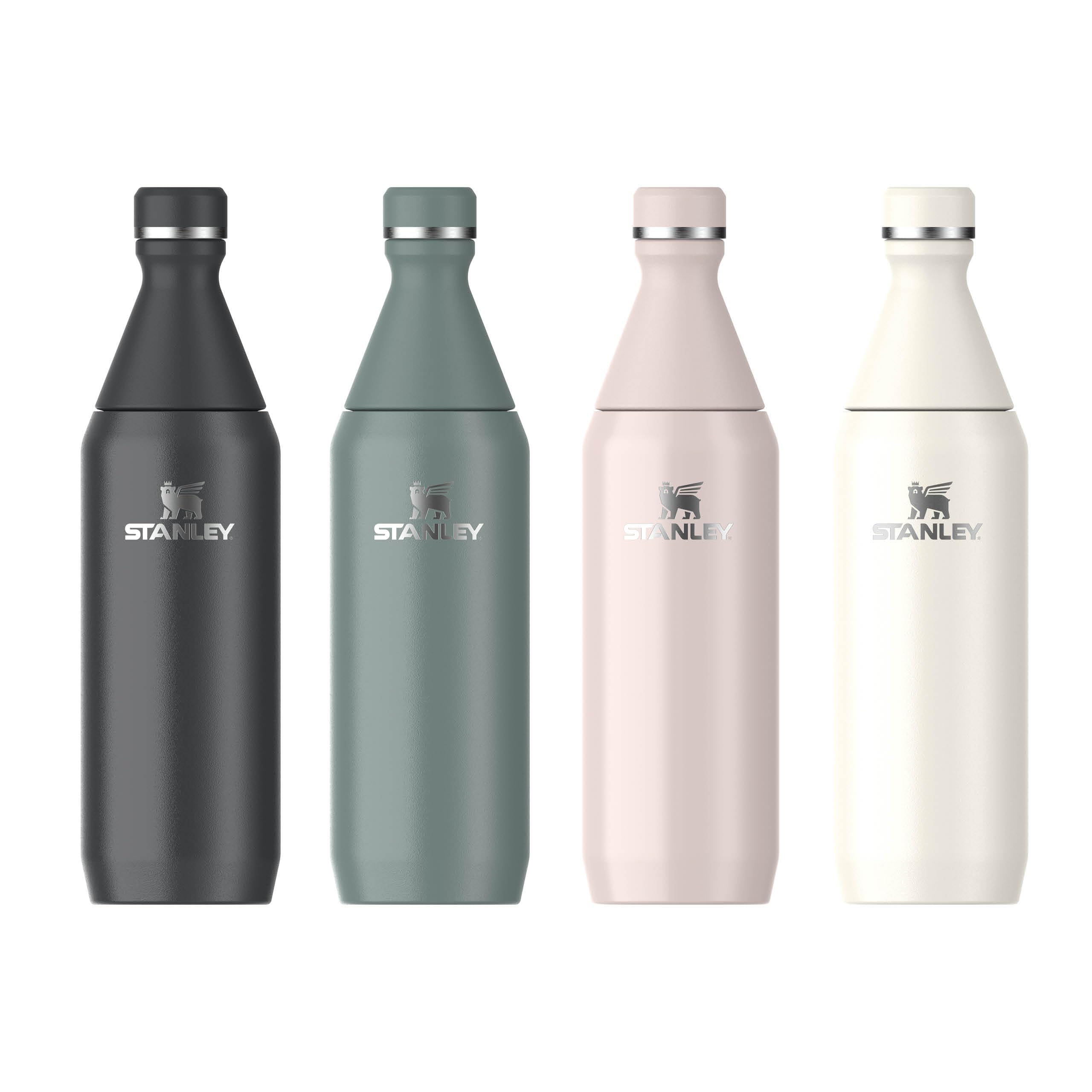 Stanley 1913 All Day Slim Trinkflasche Edelstahl 0.6L - Thermosflasche Kühlt 6 Stunden - 11 Stunden Eisgekühlt - BPA-Frei - Auslaufsichere Wasserflasche - Spülmaschinenfest - Rose Quartz | Kühlt 6 Std. - 11 Std. eisgekühlt - Auslaufsicher - BPA-frei - Spü