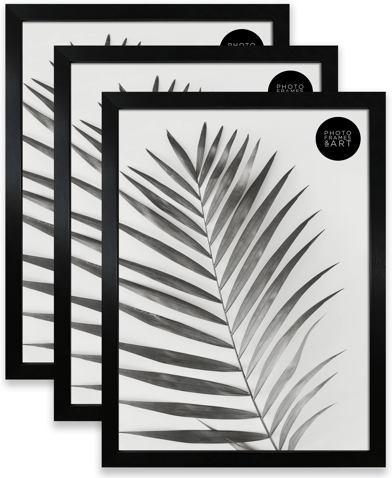 pf+a SET OF 3 A3 (29.7x42cm) Photo Frames GLASS Window Premium