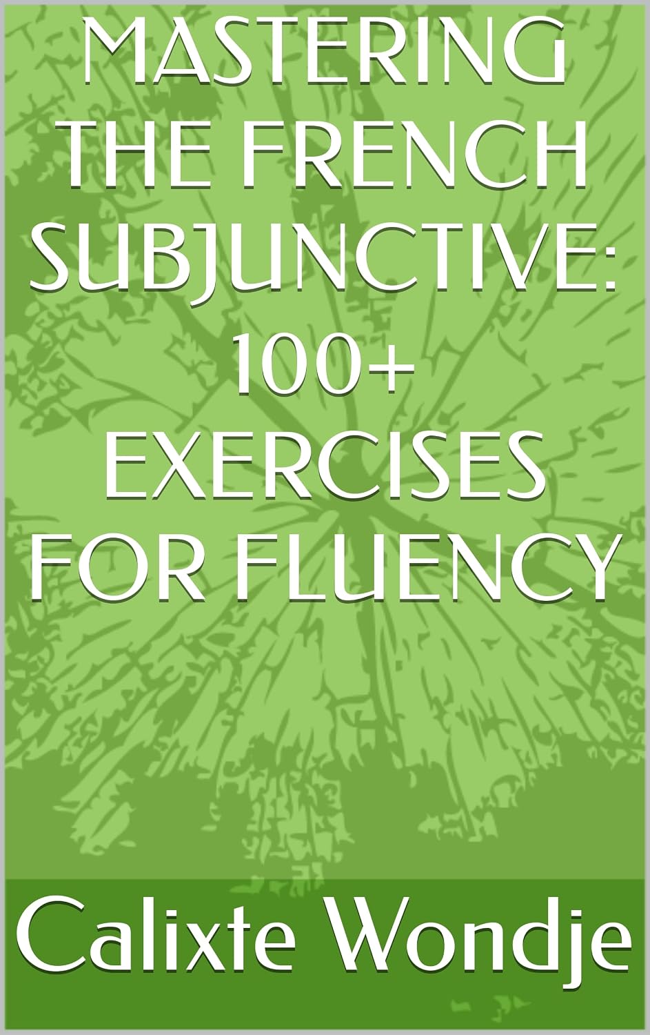 MASTERING THE FRENCH SUBJUNCTIVE: 100+ EXERCISES FOR FLUENCY      Kindle Edition
