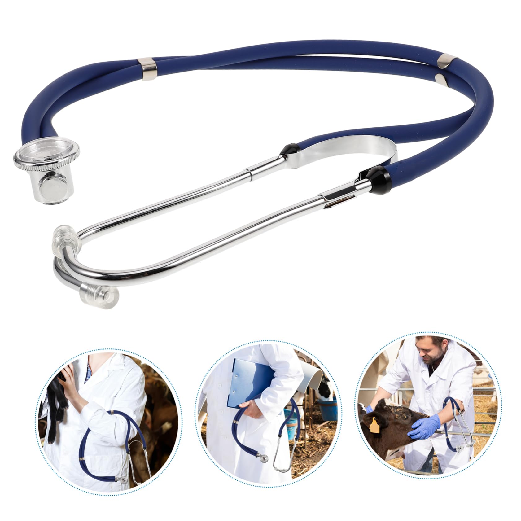 POPETPOP 5 Pz agricolo forniture Acciaio inossidabile Blue