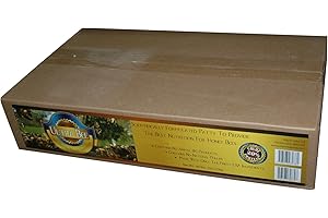 Mann Lake Bee Patties: Protein-Rich Pollen Substitute