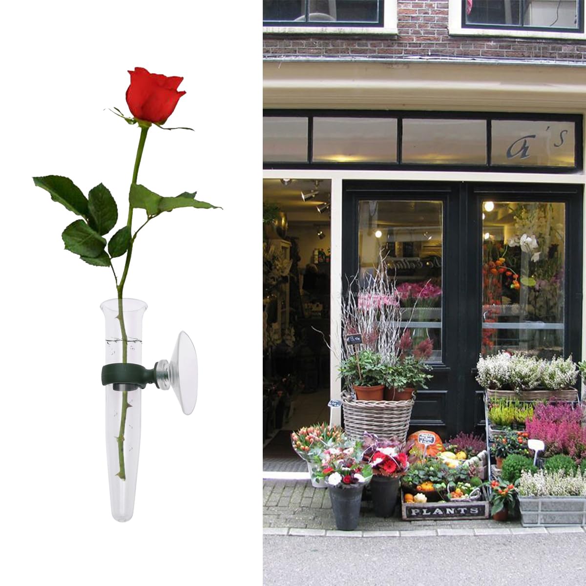 8 Pièces Tubes à Fleurs Verre Plastique Avec Ventouses - Éprouvettes Transparentes Pour Décoration