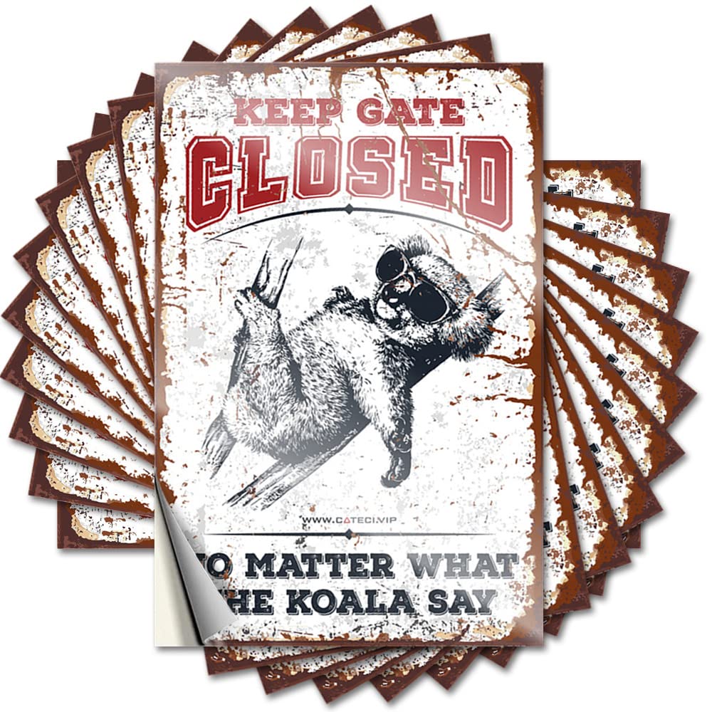 Keep Gate Closed No Matter What The Koala Say Tumbler Mini - Stuff for Teens Lettering Sticker Self Adhesive Sticker(6X9CM)