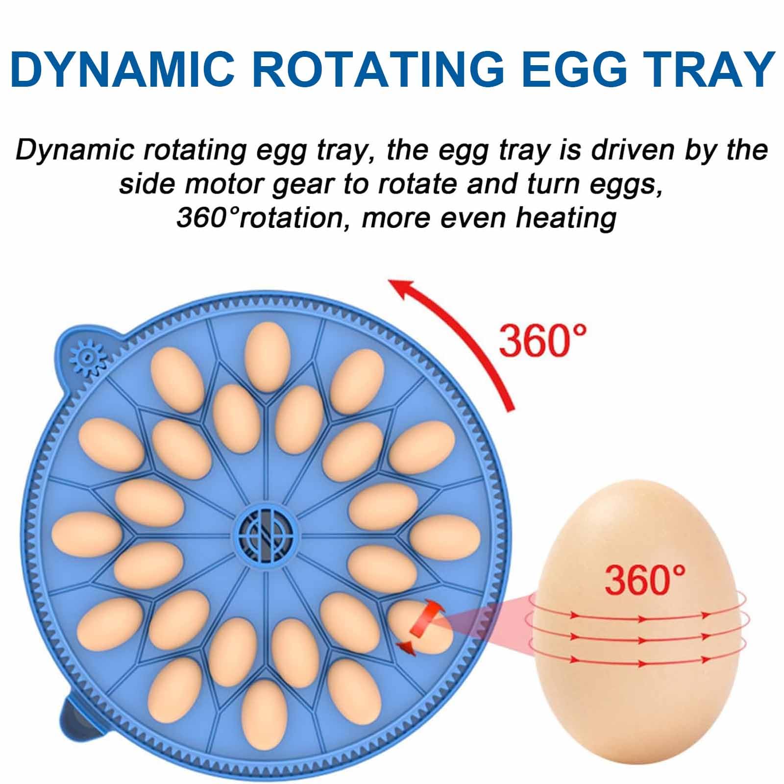 Incubadoras De 24/36 Huevos, Máquina Incubadora De Aves Totalmente Automática con Bandeja Giratoria De 360°, Ovoscopio, Visión De 360°, Diseño Eléctrico Dual para Pollos