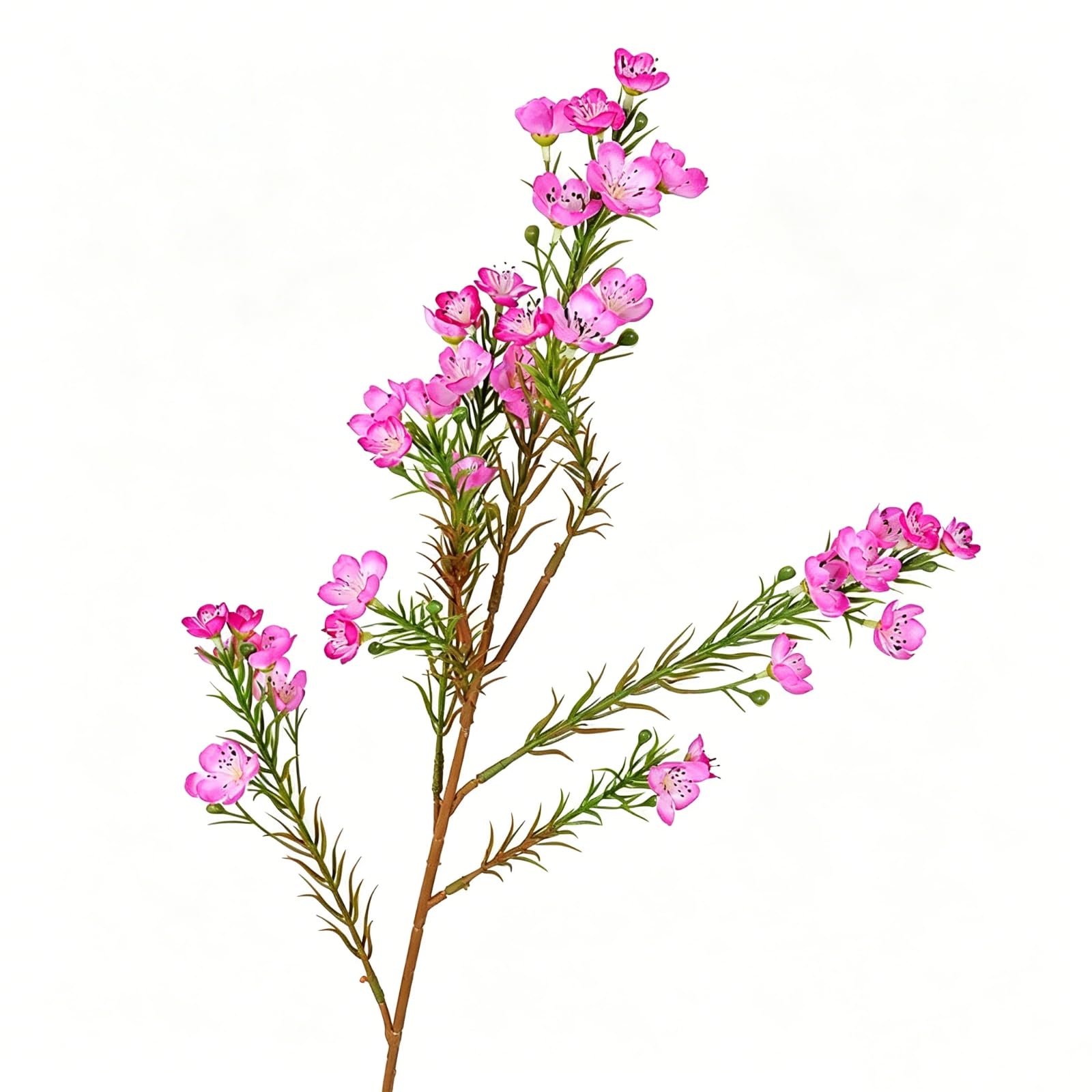 Ehuagzcoo Artificial Australian Wintersweet Flowers for Home Decoration and Wedding Silk Flower Arrangement