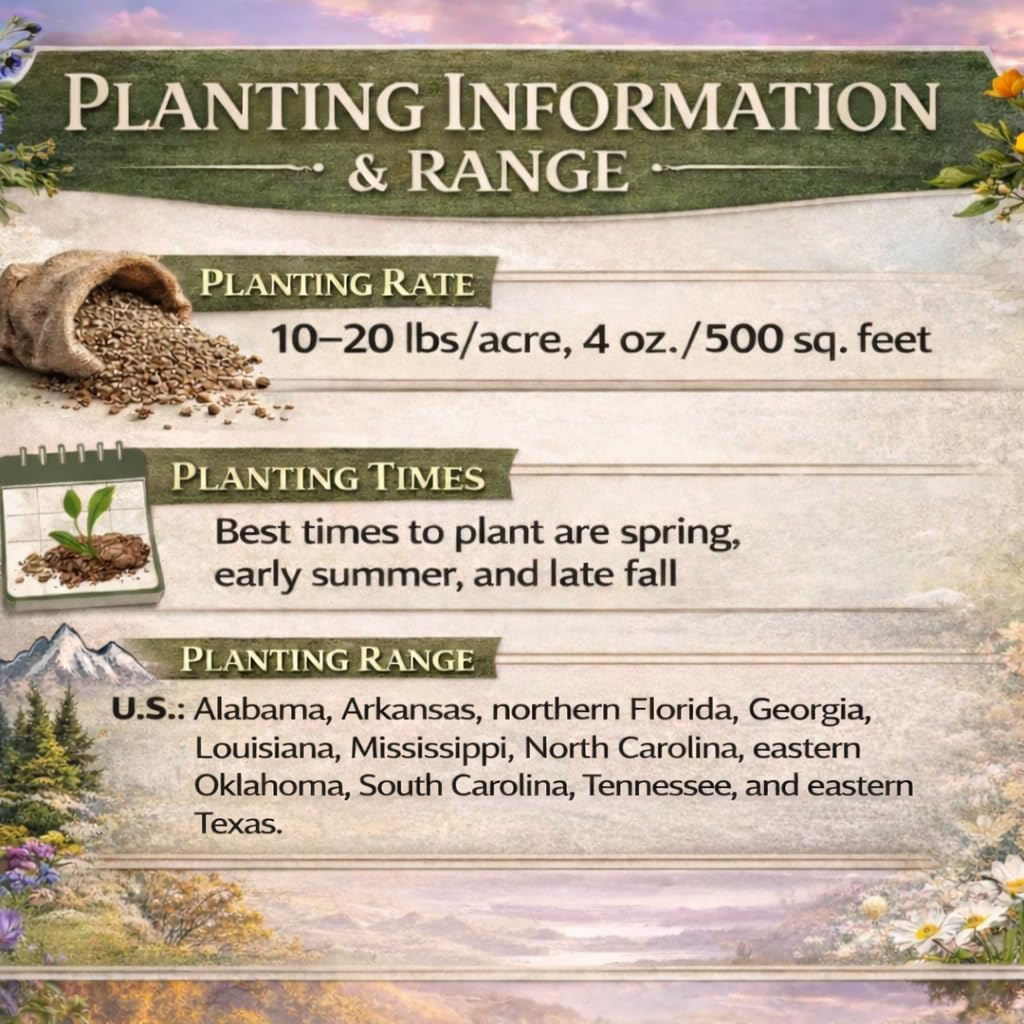 North Carolina Bulk Perennial Wildflower Seed Mix 1lb Covers 2,000sq-ft - Attract Pollinators, Multi-Color Blooms - Southeast US Species Plant in Spring/Fall, Earth-Friendly Packaging (1/4 Pound)