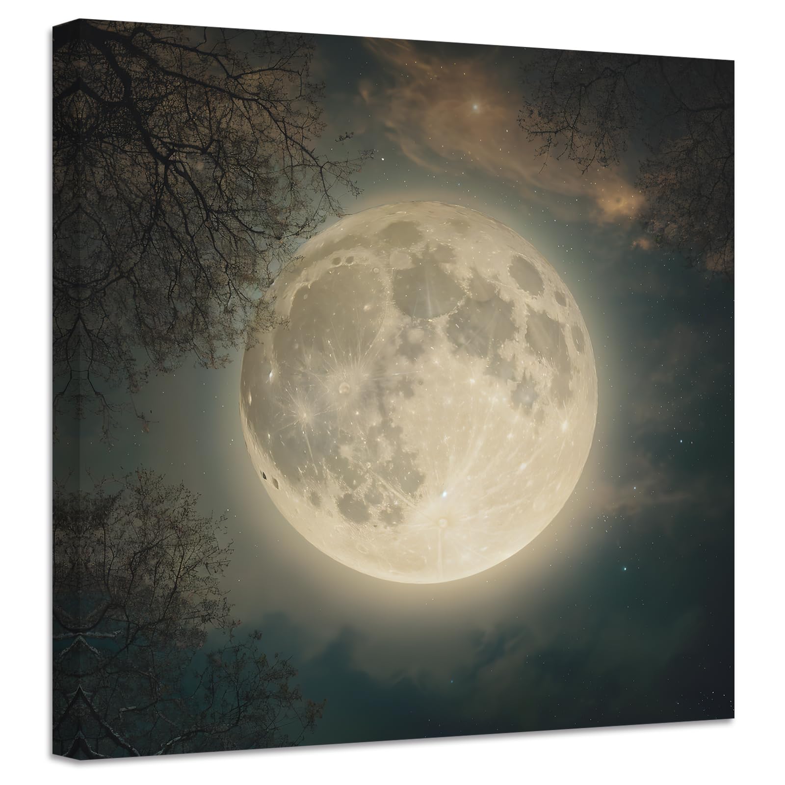 Amazon.co.jp: ZXHYWYM 満月絵画 キャンバス ウォールアート 夜に月