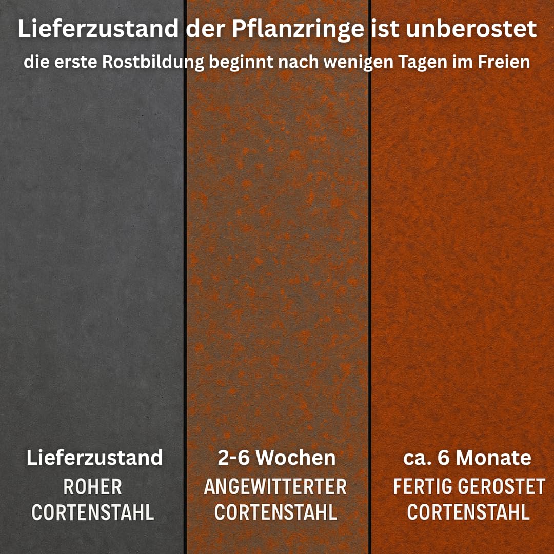 Czaja Pflanzring Cortenstahl 80 x 40 cm | Runde Beeteinfassung & Beetumrandung für den Garten – Wetterfest