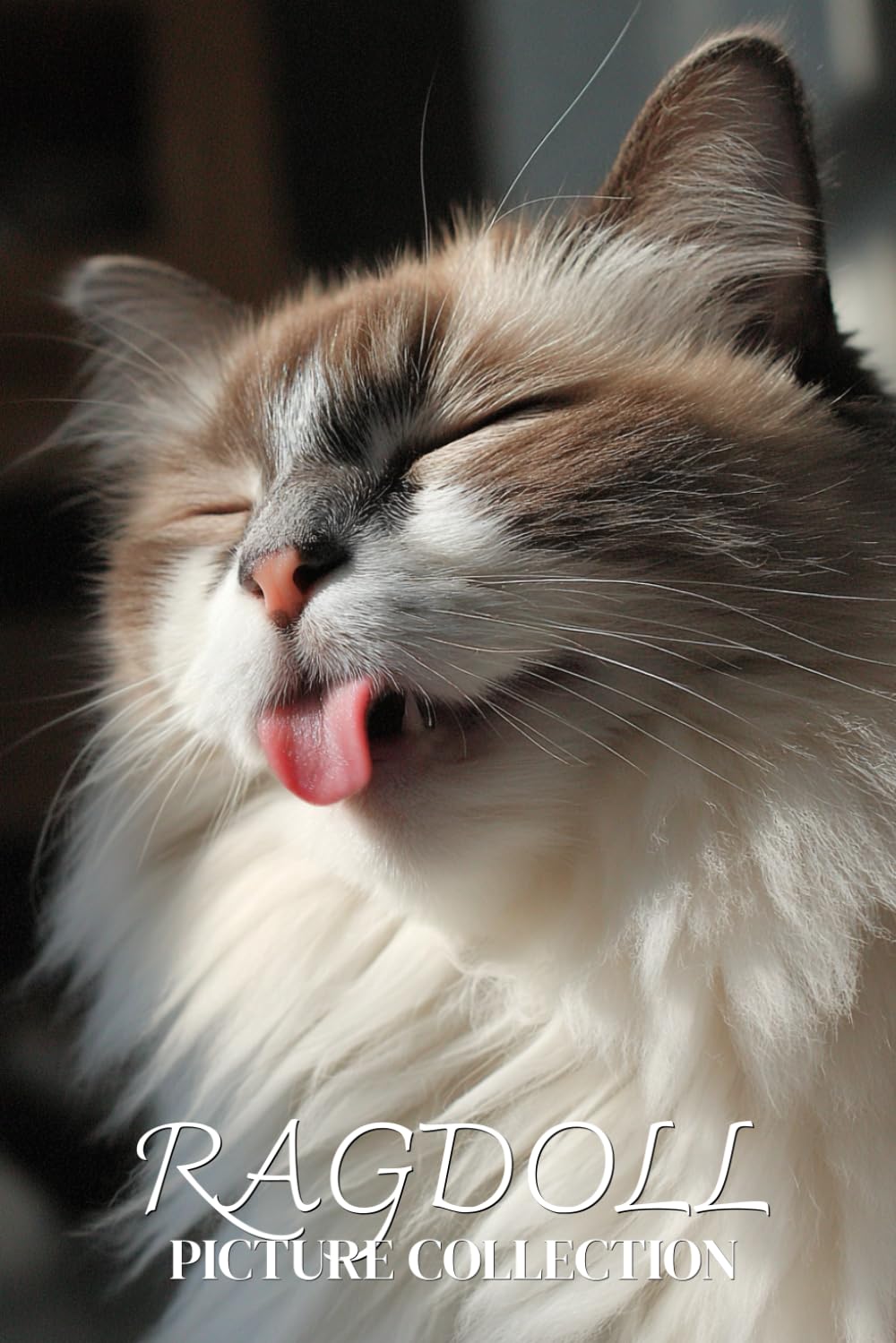 Ragdoll Cat Photo Collection: Gentle Full-Page Pictures of Ragdoll Cats and Kittens for All Ages (Calming Pet Books)