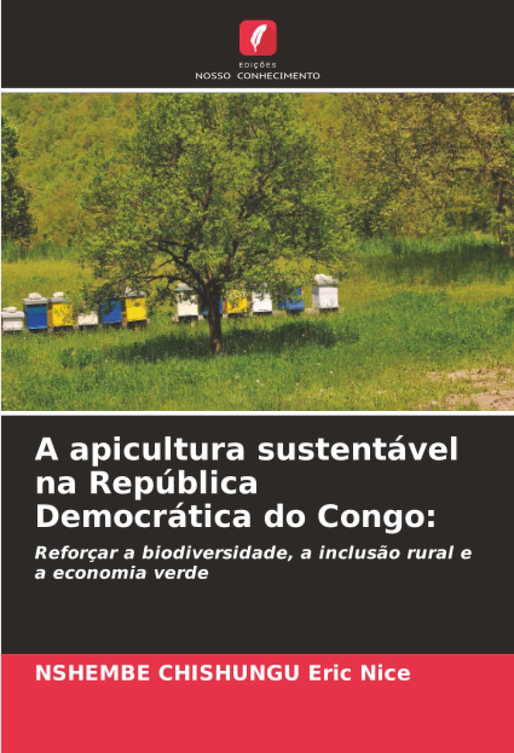 A apicultura sustentável na República Democrática do Congo:: Reforçar a biodiversidade, a inclusão rural e a economia verde