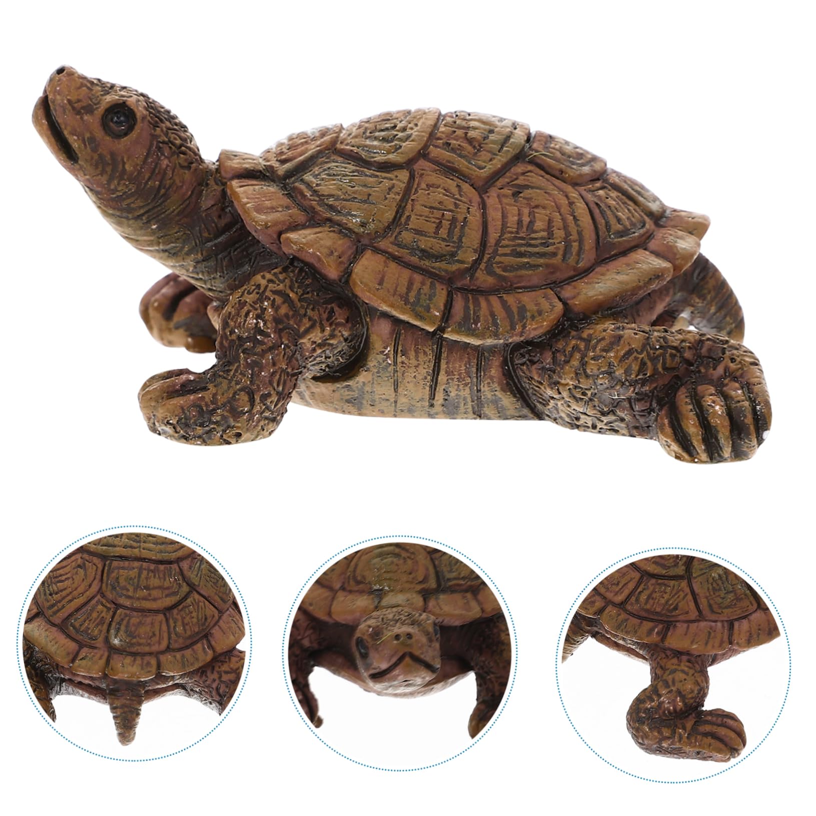 Amazon｜YARDWE 樹脂製 亀の像 リアルな亀の模型 デスクインテリア用