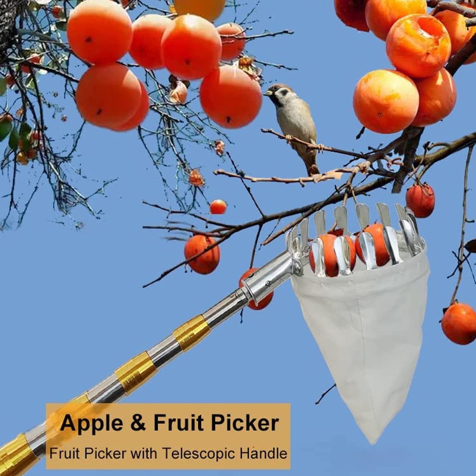 23ft, Apfelpflücker Mit Teleskopstiel, Apfelpflücker, Obstpflückausrüstung Beerenpflücker Mit Obst Aufbewahrungstasche Für Apfel Orange Zitrone