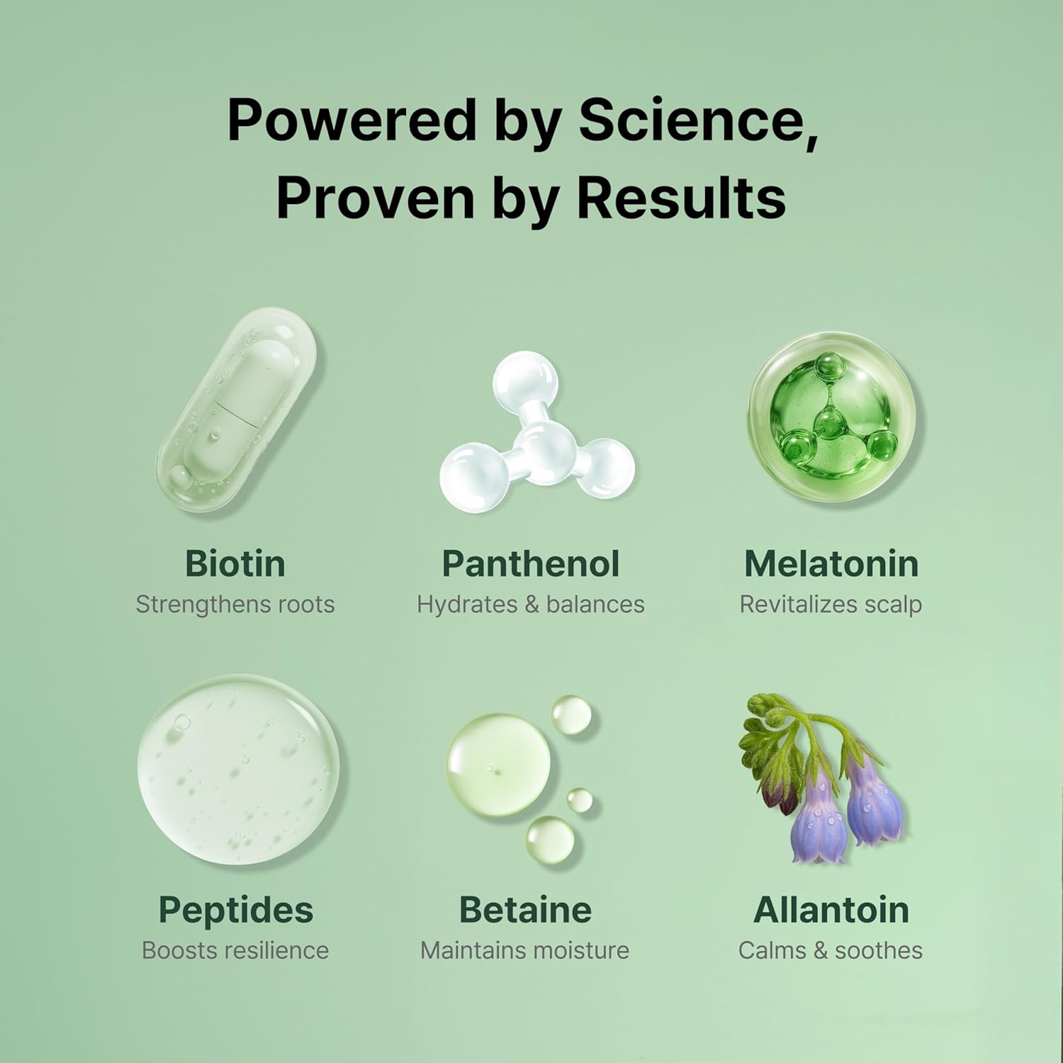 Korean Scalp Intensive Hair Growth Serum｜Biotin & Panthenol Leave-In Ampoule for Hair Loss, Thinning Hair, Scalp Hydration & Strengthening (2.02 fl oz)